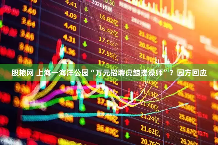 股粮网 上海一海洋公园“万元招聘虎鲸搓澡师”？园方回应