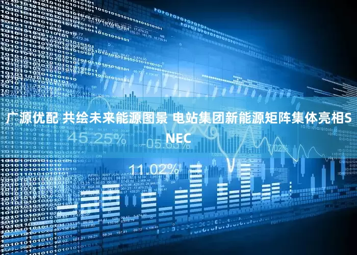 广源优配 共绘未来能源图景 电站集团新能源矩阵集体亮相SNEC