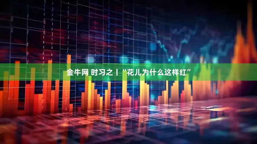 金牛网 时习之丨“花儿为什么这样红”